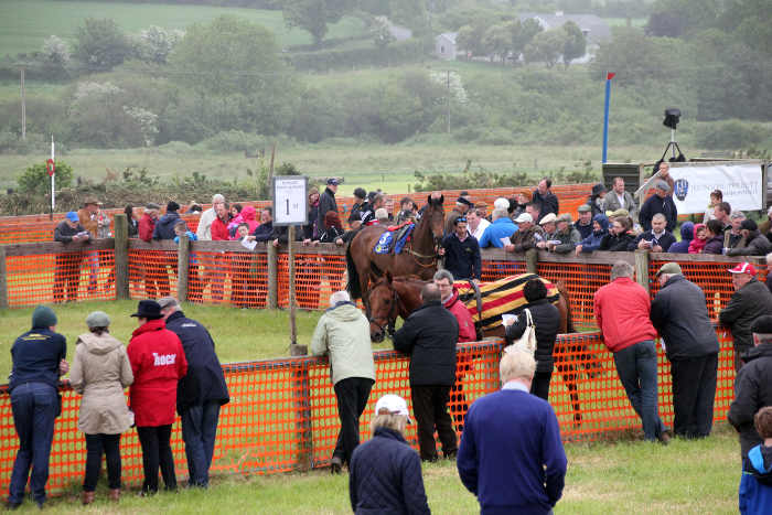Horses parading before a race at Kinsale Point to Point