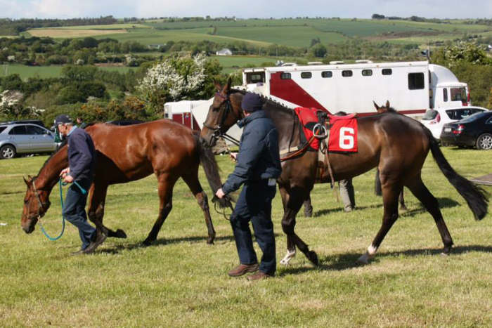 Handlers walking horses in the lorry park at Kinsale Point to Point Festival